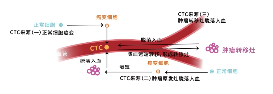 CTC先容.jpg