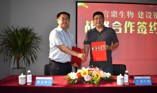 今日头条 数字山东：清风徐来，花自盛开——强强联合再添新同伴