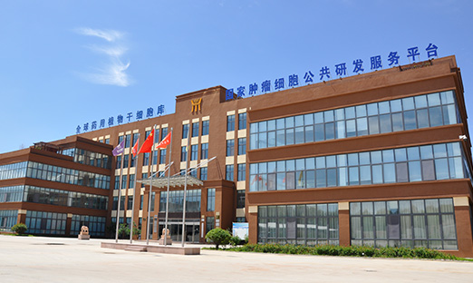 尊龙凯时简讯|中式养生崛起，药食同源展现生长潜力