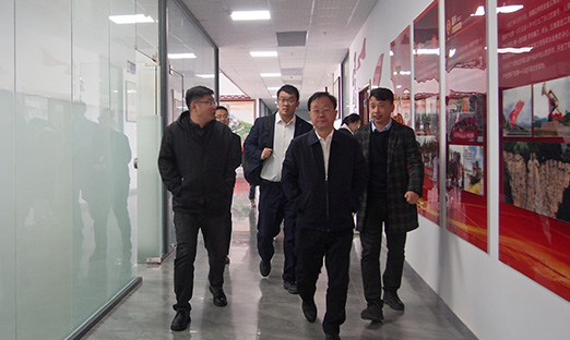 全球视野，亳州行动！