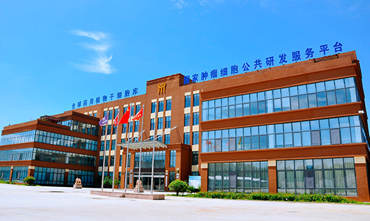 喜报！尊龙凯时生物牵头项目获批科技部国家重点研发妄想重点专项