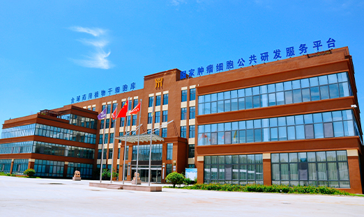 2023年度国家重点研发妄想青岛部市联动项目正式立项