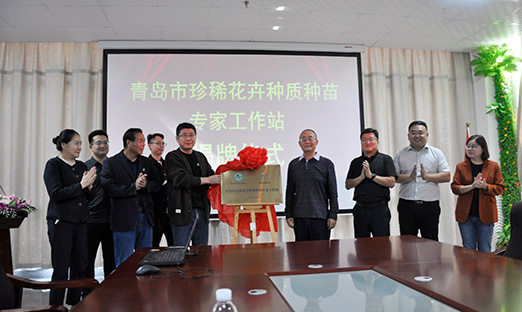 青岛市珍稀花卉种质种苗专家事情站揭牌，开启花卉工业新征程