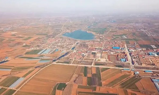 首部增进“大种业”生长地方性规则！《青岛市种业增进条例》出台