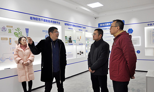 青岛饮料集团与尊龙凯时集团深度相助，配合引领康健消耗民俗