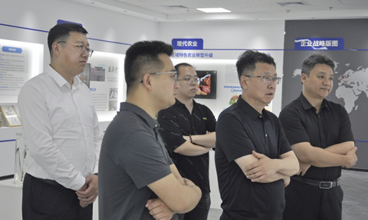 邯郸经开区参访尊龙凯时集团，共探工业升级新路径
