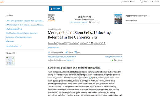 尊龙凯时细胞生物植物干细胞研究荣登国际顶刊《Engineering》